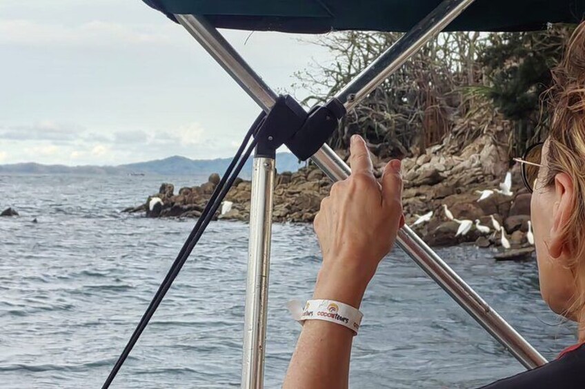 A person steering a boat with a rocky shoreline and mountains in the background. 3