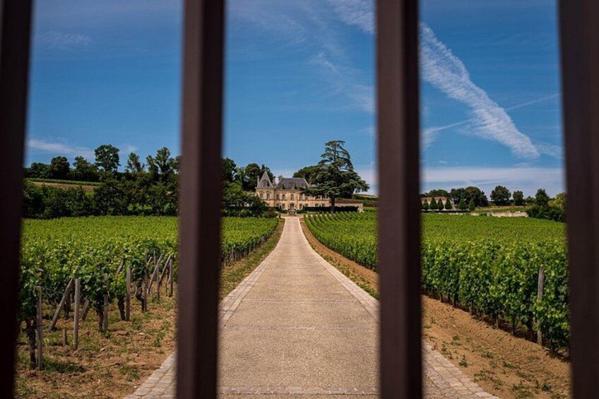 Saint Emilion Wine Tour by E-Bike- Bordeaux Pick up and drop off 3