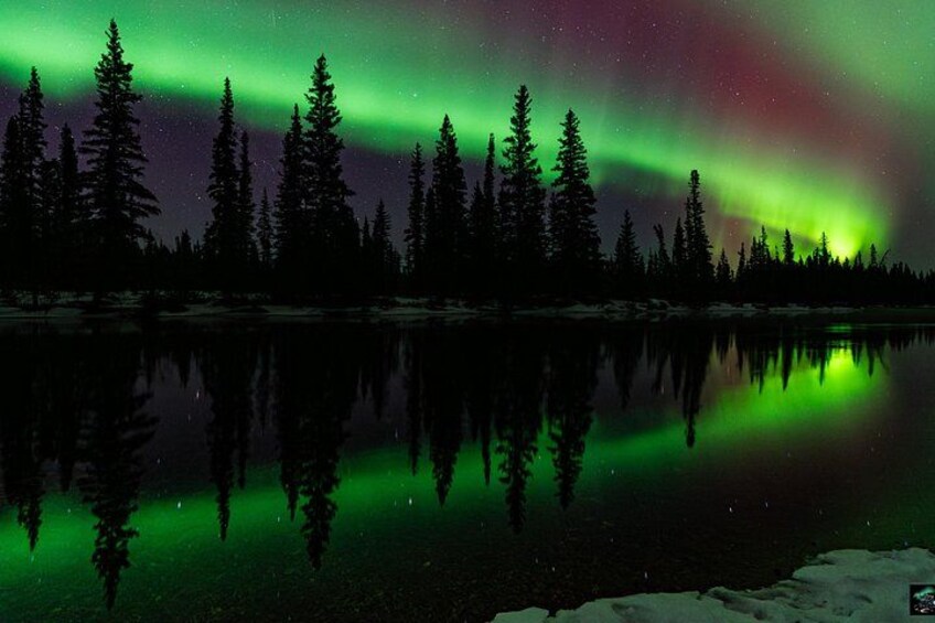 A night scene with the Northern Lights reflecting on a calm lake, surrounded by evergreen trees. 5