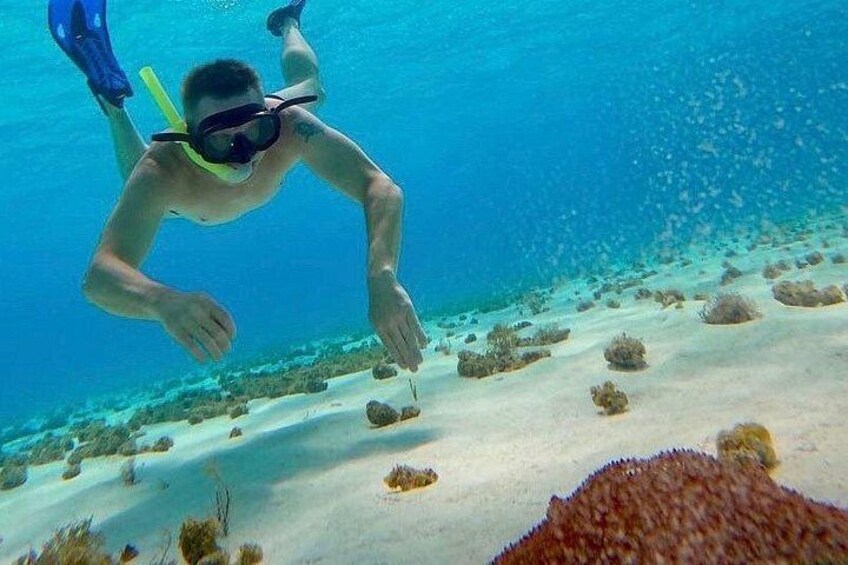 Discovering El Cielo Reef by Double Decker Catamaran 1