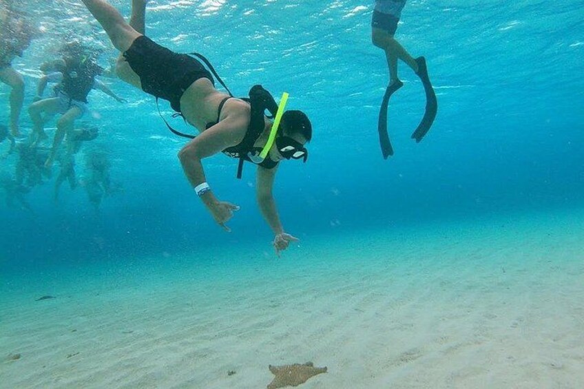 Discovering El Cielo Reef by Double Decker Catamaran 5