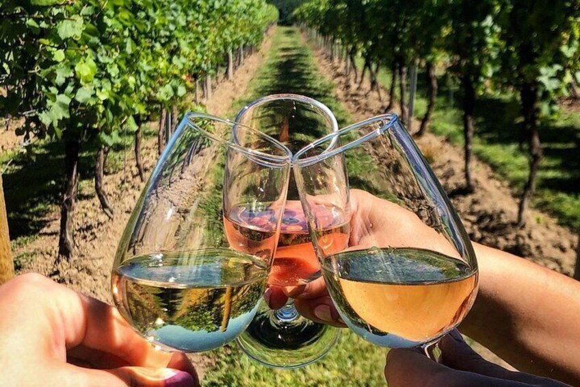 8-Hour Private Limousine Wine Country Tour of Napa or Sonoma 2