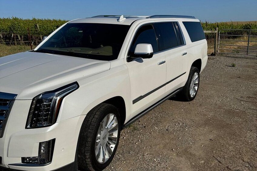 8-Hour Private Limousine Wine Country Tour of Napa or Sonoma 3