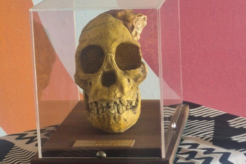 Cradle of Human Kind 1