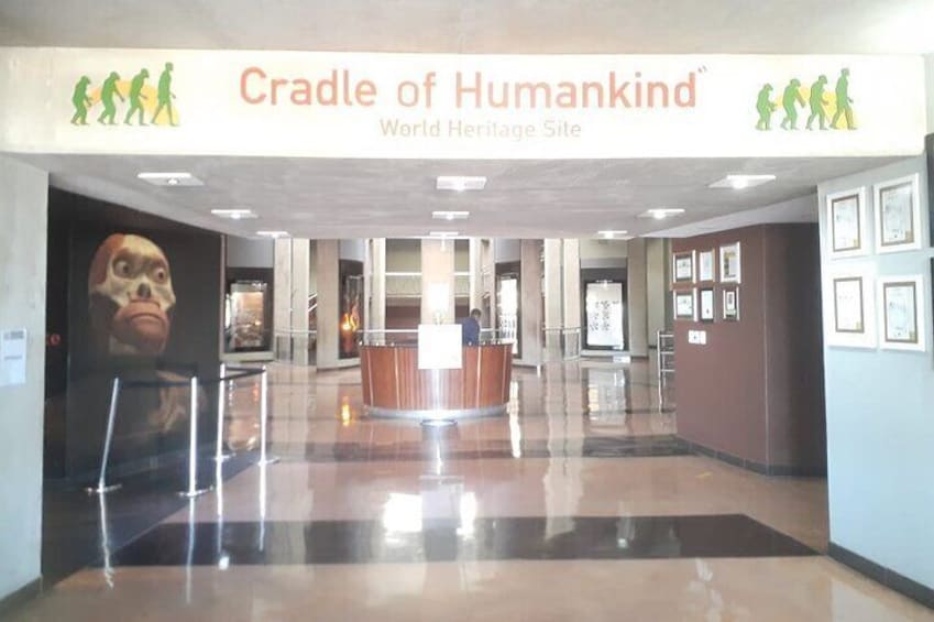 The Cradle of Humankind World Heritage Site entrance with a reception desk, glass display cases, and framed pictures on the walls. 1