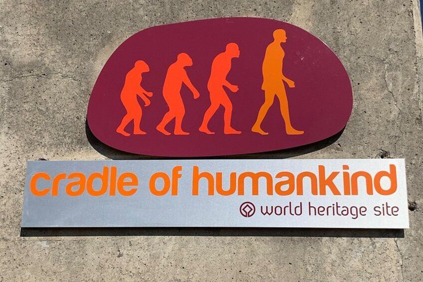 A sign with the text 'cradle of humankind' and a depiction of human evolution. 5