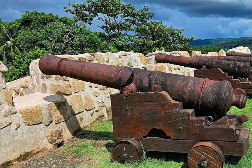 A cannon on a wooden carriage, surrounded by stone ruins and greenery. 4