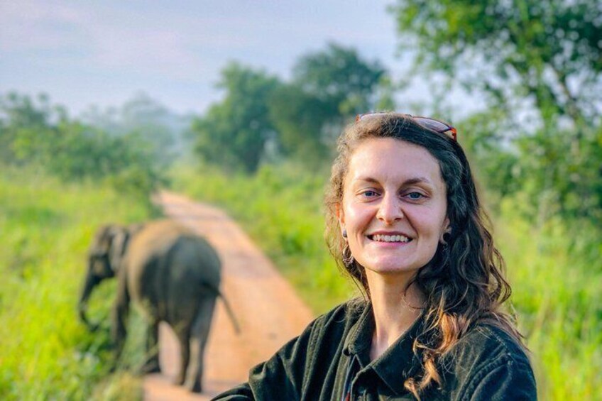 Een persoon met een olifant op een onverhard pad in een groen landschap. 4