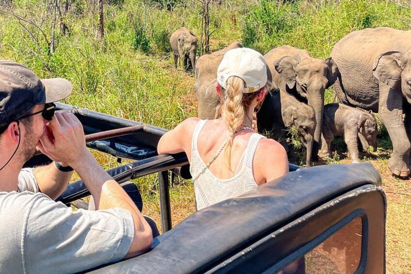 Ein Safarifahrzeug mit Fahrgästen beobachtet Elefanten in ihrer natürlichen Umgebung. 1