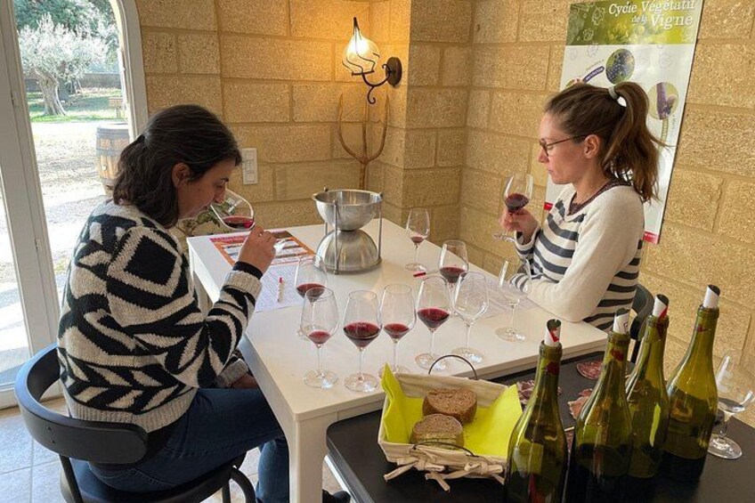 Wine blending activity between Avignon and Nîmes 2