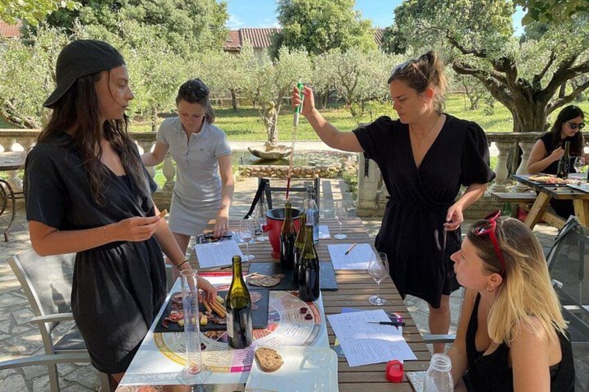 Wine blending activity between Avignon and Nîmes 1