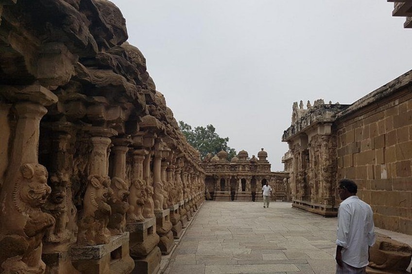 Kanchipuram Temples Day Trip with Female Host 5