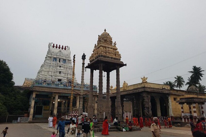 Kanchipuram Temples Day Trip with Female Host 3