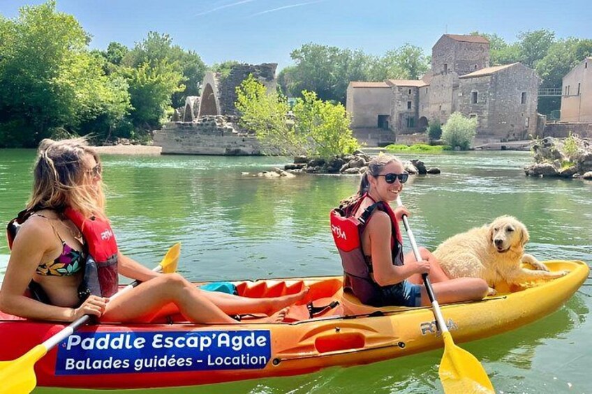 Guided kayak and paddle tour on the Herault 5