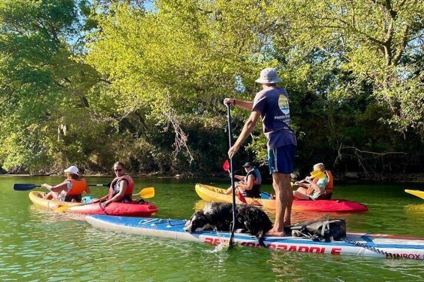 People kayaking on a river surrounded by trees. 5