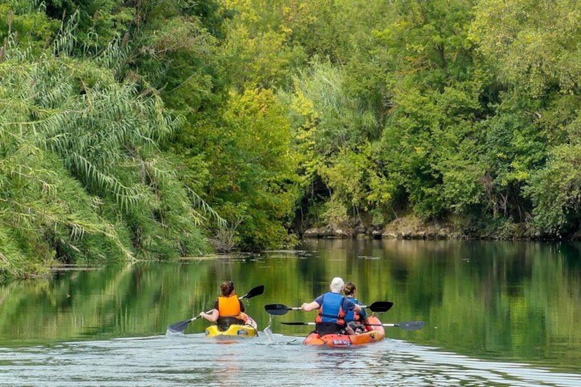 Two people kayaking on a calm river surrounded by dense greenery. 3