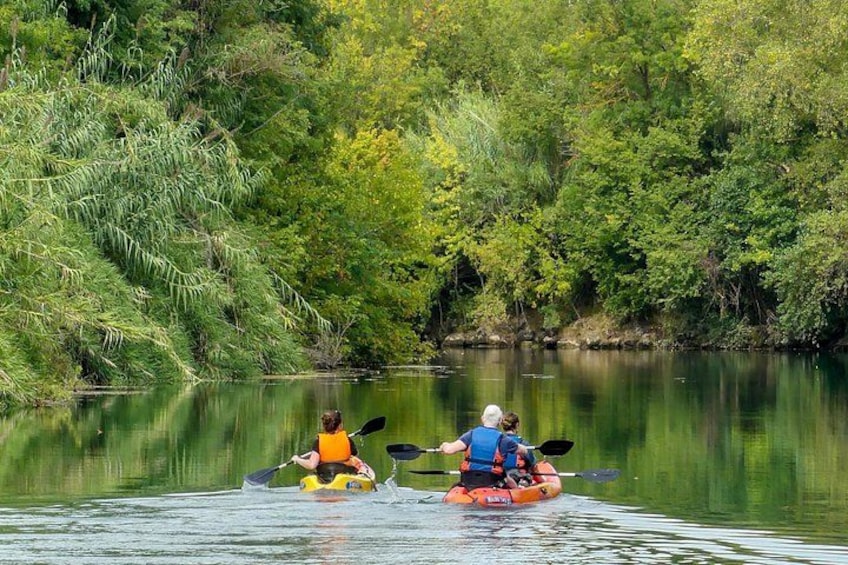 Two people kayaking on a calm river surrounded by dense greenery. 3