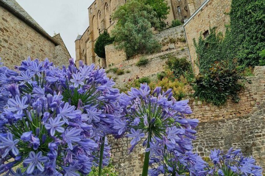 A stone building with ivy, purple flowers, and a tree. 3