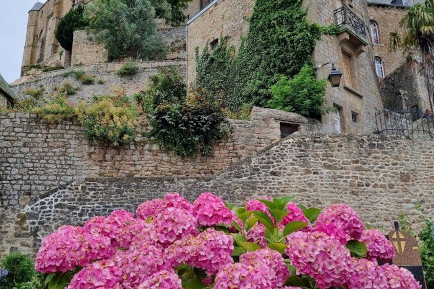 A stone wall with pink flowers in the foreground and a building with ivy on the wall in the background. 3