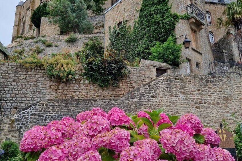 A stone wall with pink flowers in the foreground and a building with ivy on the wall in the background. 4