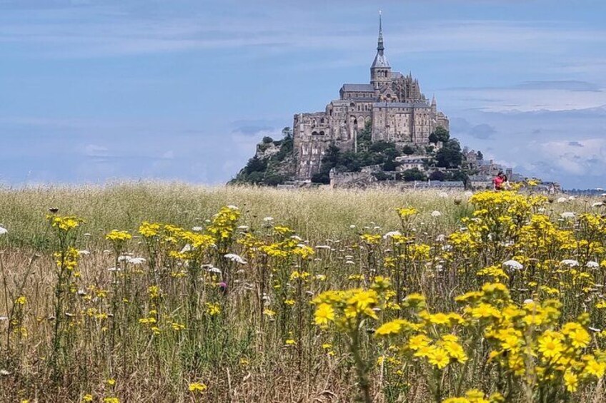 A historic castle on a hill, surrounded by yellow wildflowers. 1