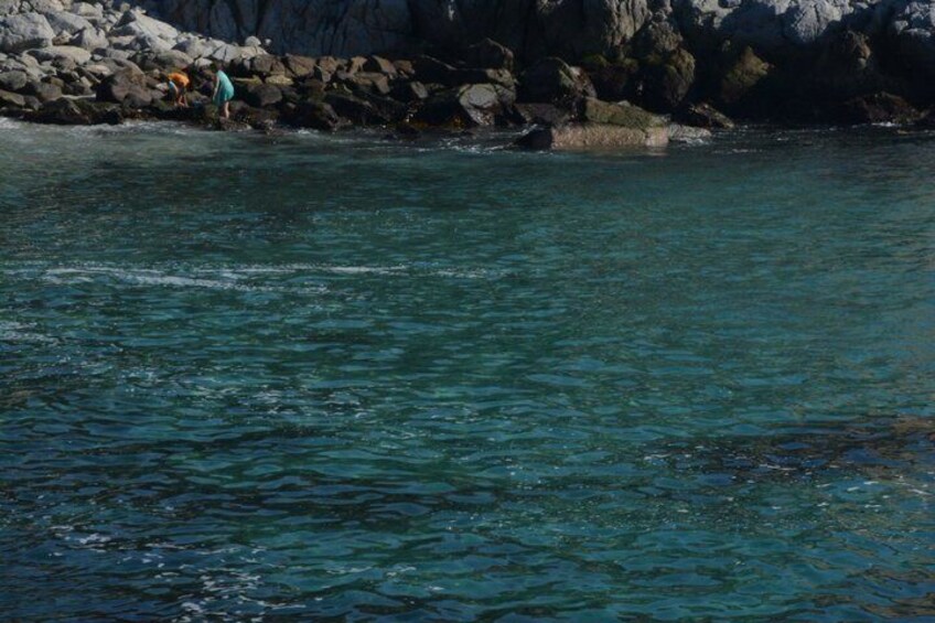 Coastal Hike in Zapallar and Cachagua Nature and Gastronomy 2