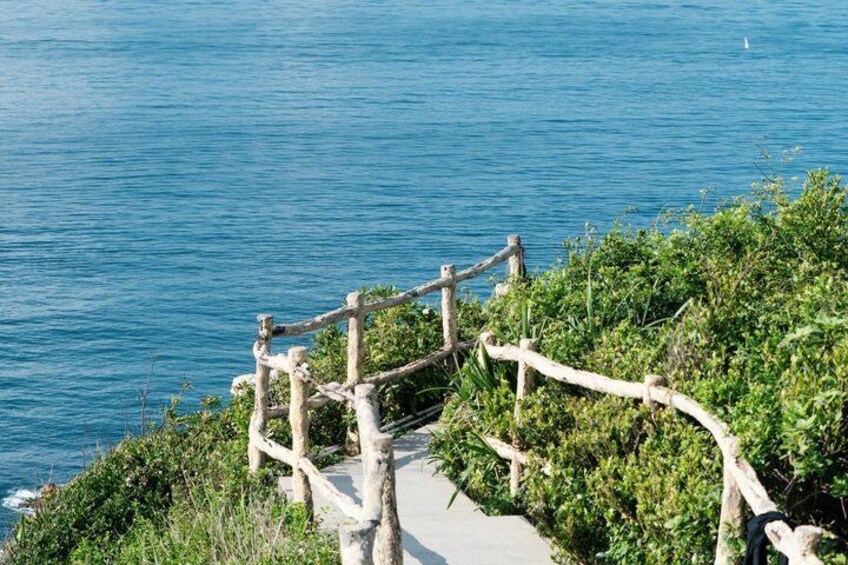 Coastal Hike in Zapallar and Cachagua Nature and Gastronomy 5