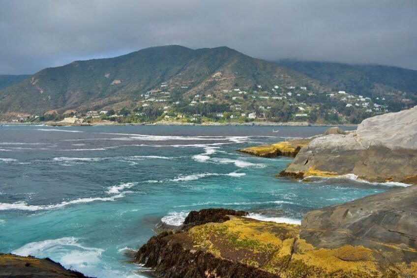 Coastal Hike in Zapallar and Cachagua Nature and Gastronomy 4