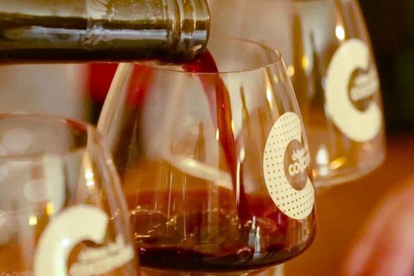 Winery Tour and Wine Secrets between Avignon and Nîmes 2