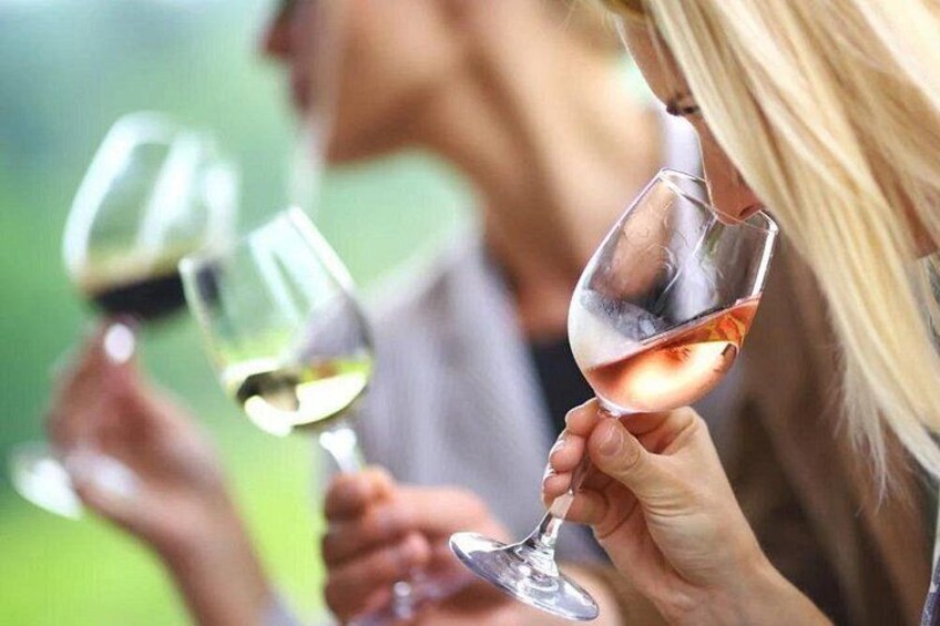 Winery Tour and Wine Secrets between Avignon and Nîmes 4