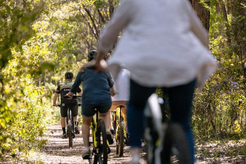 Half Day Wadandi Track Scenic E-Bike Tour 1