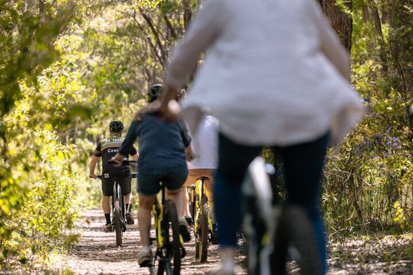 Half Day Wadandi Track Scenic E-Bike Tour 1