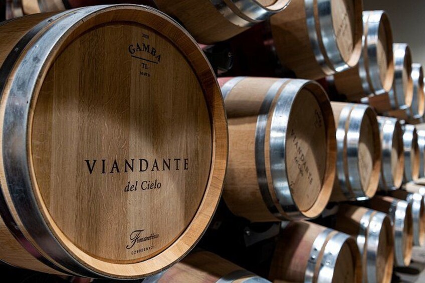 Umbria like a local: Private Wine Tasting & Dining Experience 4
