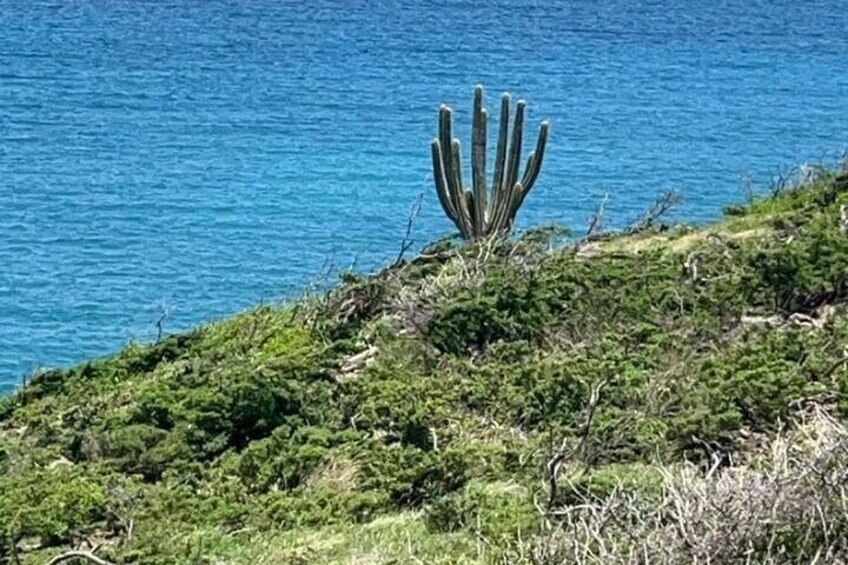Coralita Lookout Point 3