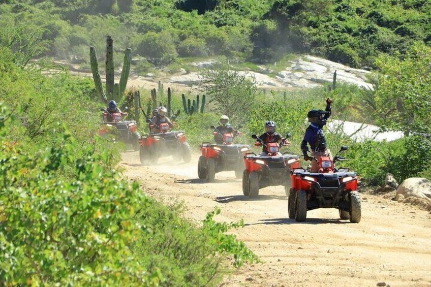 Un gruppo di persone che guida quad sulle strade sterrate, circondato da cactus e vegetazione. 3