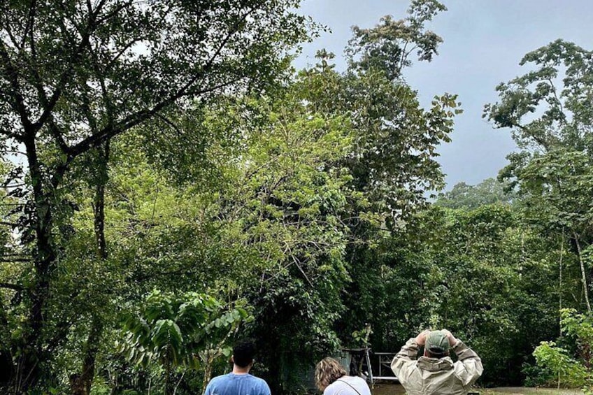 Sunrise Birdwatching at Arenal Volcano 3