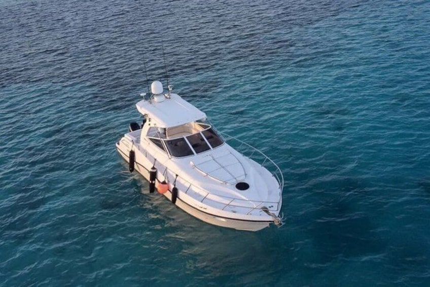 Jeddah: Bayada Luxury Cruise & Swimming 1