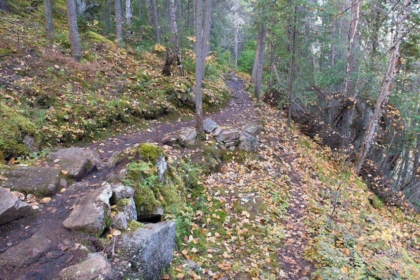 A forested trail with rocks and fallen leaves. 2