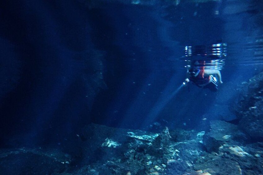 Private Cenote Tour: Dos Ojos, Jaguar & Nicte-Ha 5
