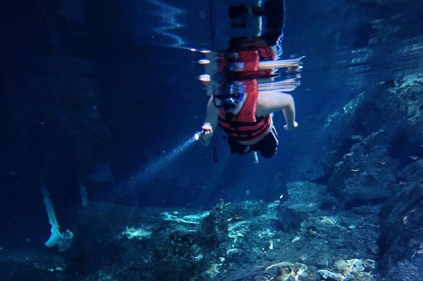 An underwater scene with a person in a red wetsuit and scuba gear, surrounded by marine life and rocky formations. 3