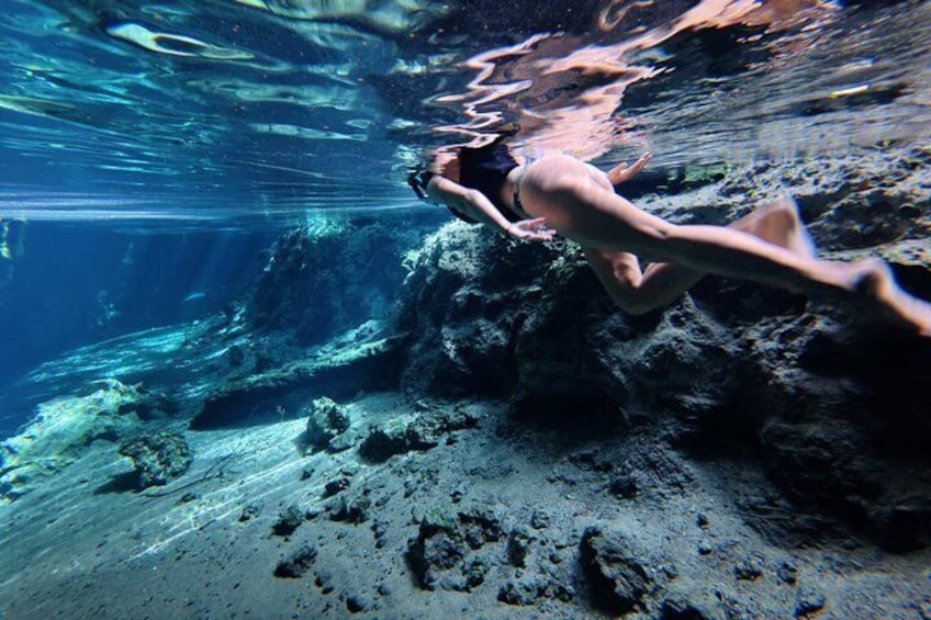 Private Cenote Tour: Dos Ojos, Jaguar & Nicte-Ha 5