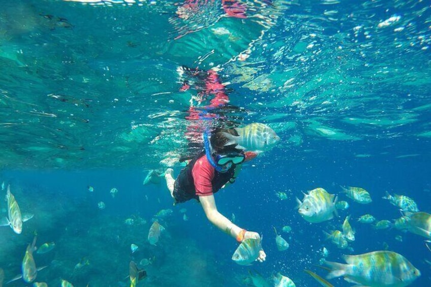 Underwater Wonders Snorkeling Adventure 2