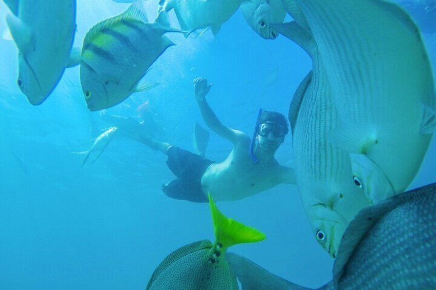 Underwater Wonders Snorkeling Adventure 3