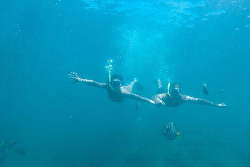 Underwater Wonders Snorkeling Adventure 5