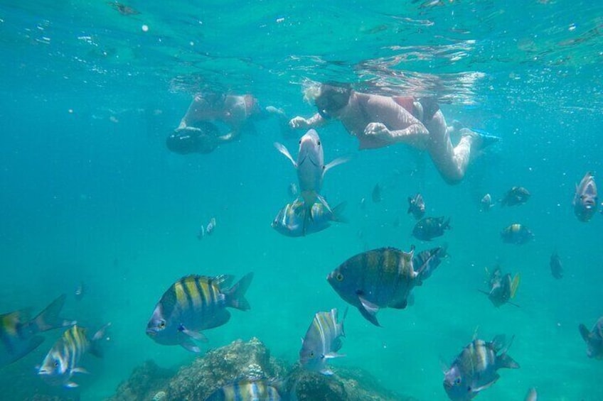 Underwater Wonders Snorkeling Adventure 1