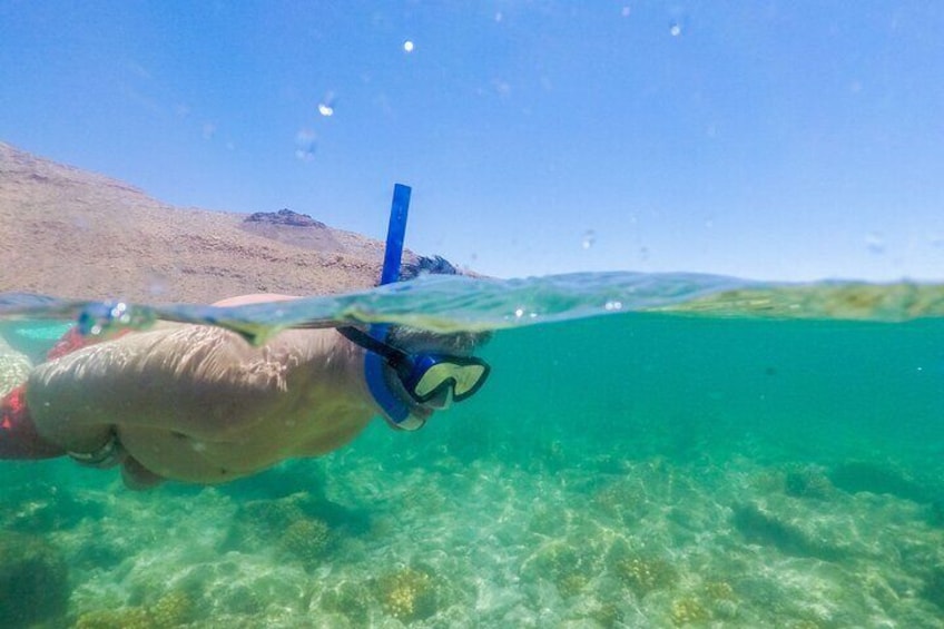Underwater Wonders Snorkeling Adventure 4