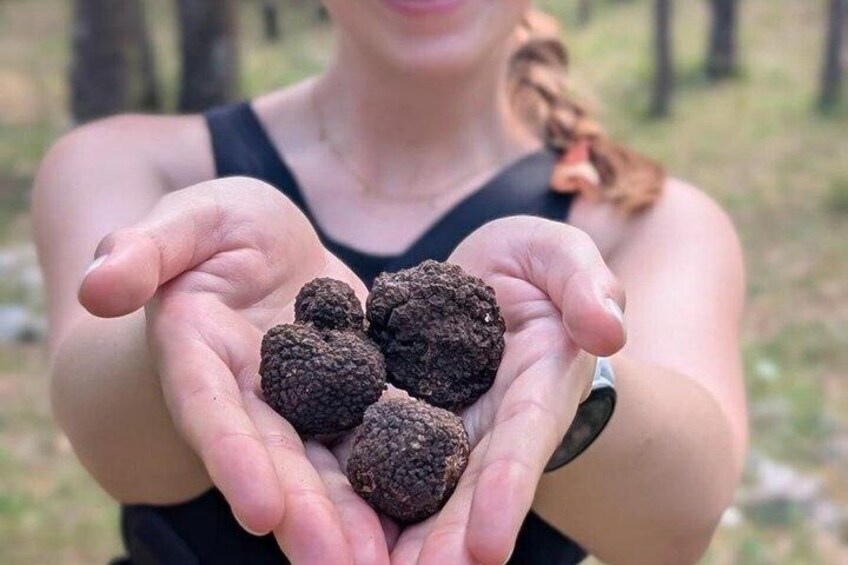 Truffle hunting with tasting in the woods 4