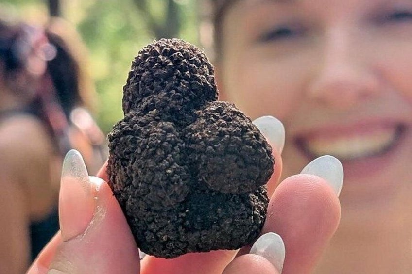 Een persoon houdt een truffel vast. 3