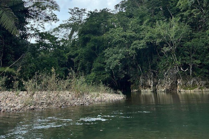 Un río con vegetación densa y riberas rocosas. 3