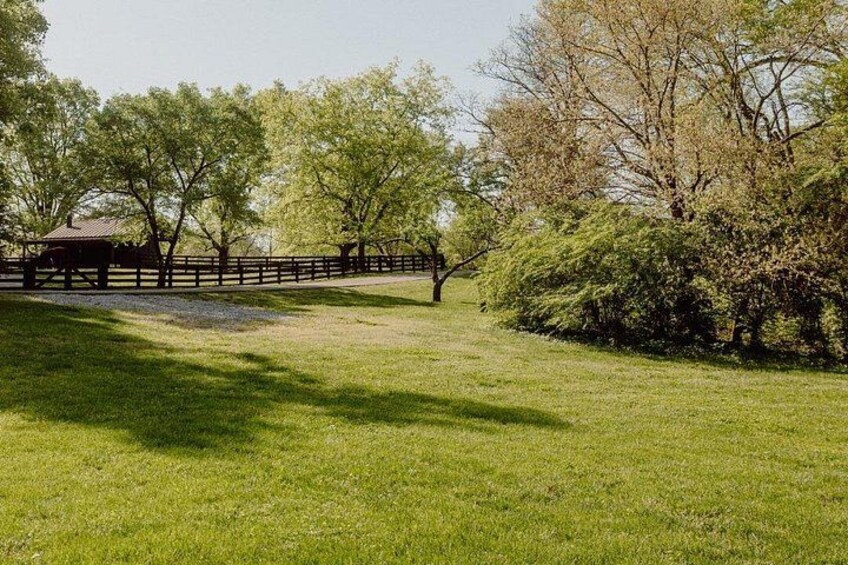 A grassy park area with a wooden fence, trees, and a small pavilion. 4